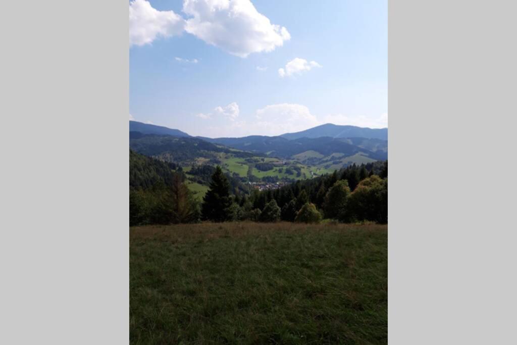 Horska Turistika S Domaci Atmosferou Apartment Dolny Kubin Luaran gambar